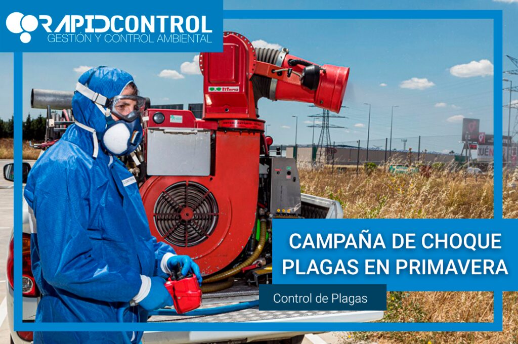Plagas en Primavera