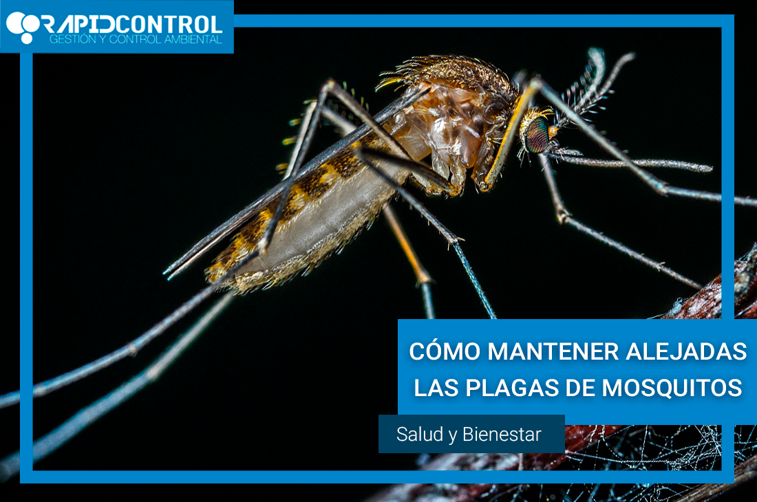 Control de Mosquitos