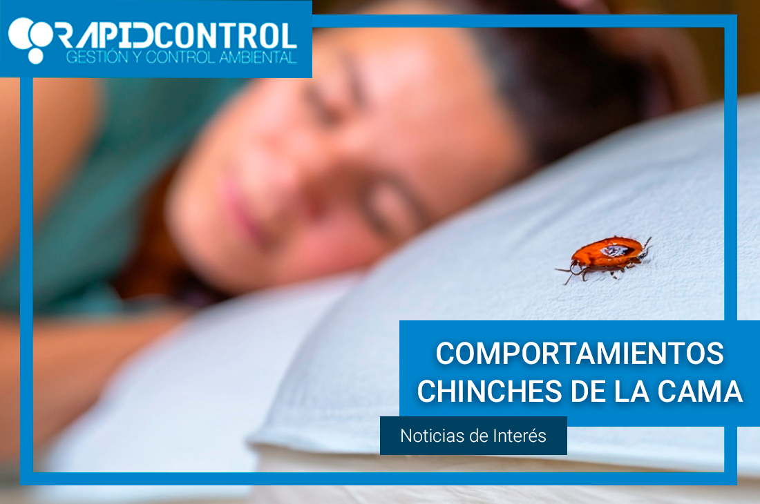 Comportamiento de las Chinches de la cama