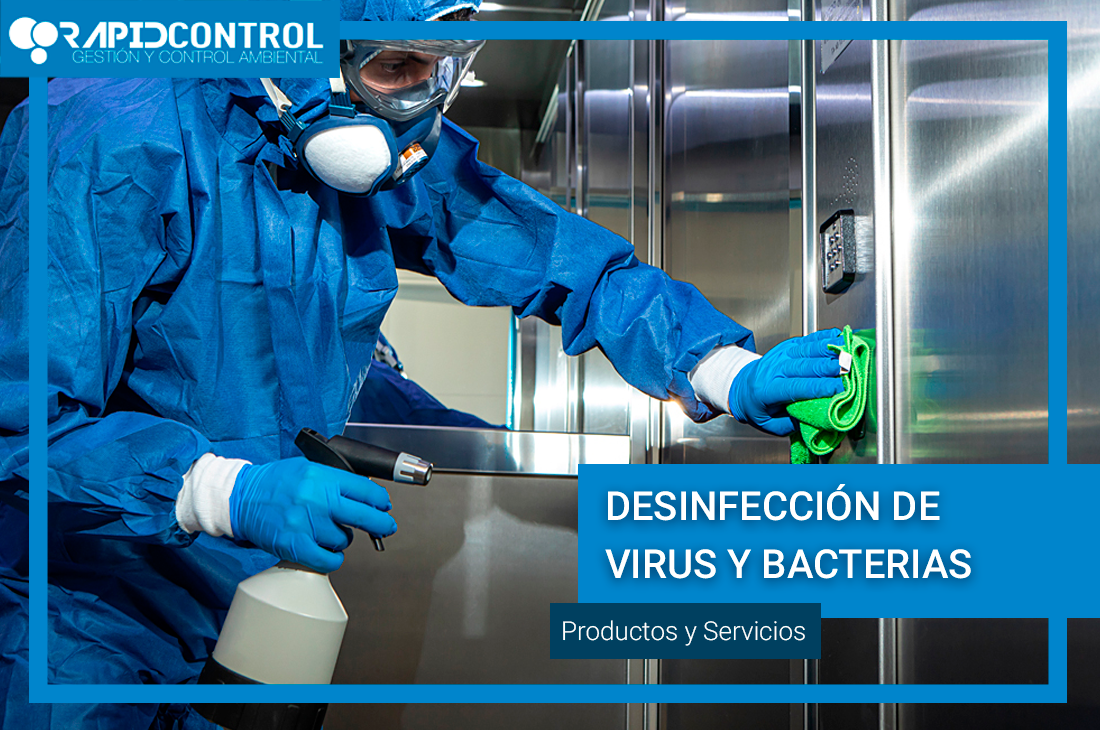 virus-y-bacterias