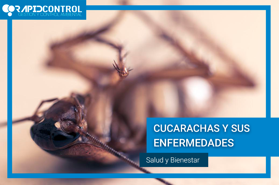 cucarachas-enfermedades