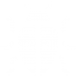 escarabajo icon