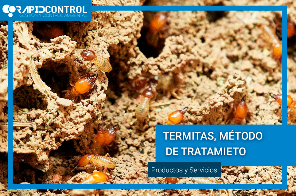tratamiento termitas
