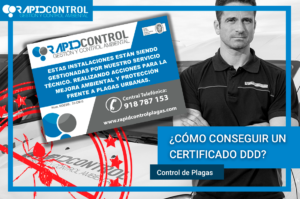 CERTIFICADO DDD