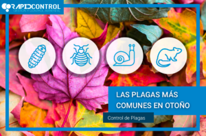 PLAGAS-DE-OTOÑO