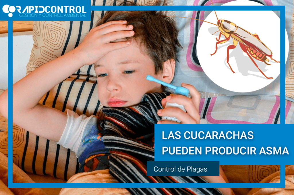 cucarachas-asma