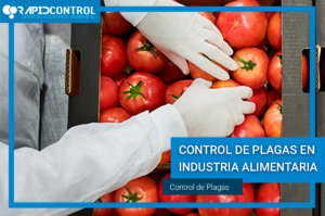 INDUSTRIA-ALIMENTARIA