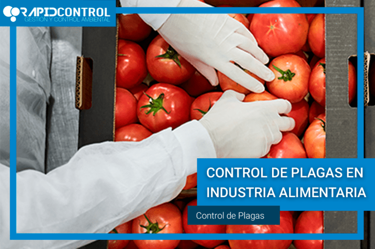 Control de Plagas en la Industria Alimentaria - RapidControl Plagas