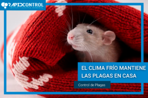 CONTROL DE PLAGAS EN INVIERNO