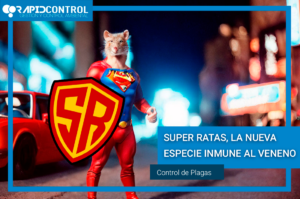SUPER_RATAS