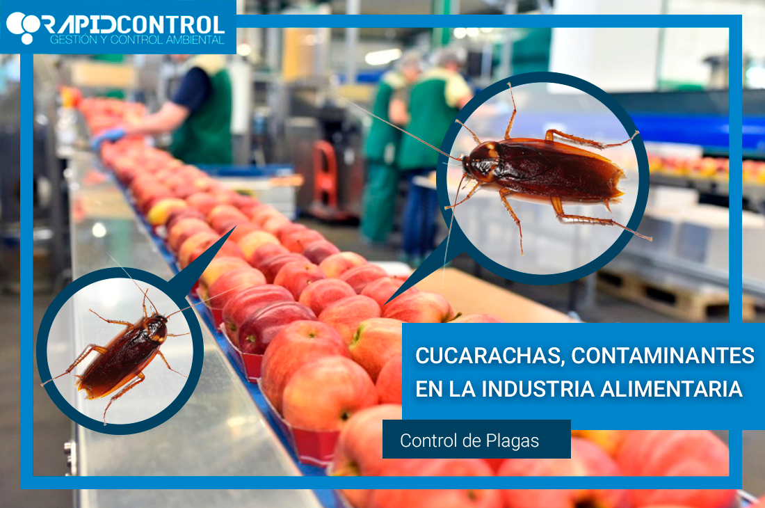 Cucarachas dentro de la Industria alimentaria
